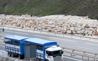 Muros de contención: tipos, ventajas y por qué confiar en Excavaciones Manzano