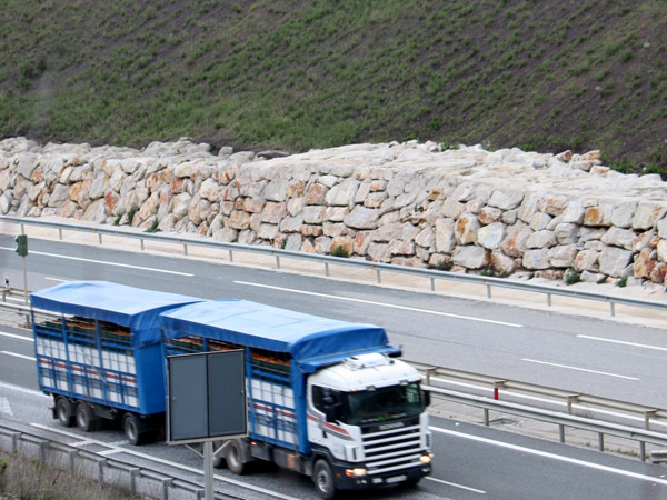Muros de contención: tipos, ventajas y por qué confiar en Excavaciones Manzano