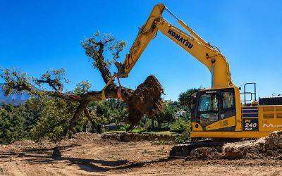 Ventajas de contratar maquinaria profesional para excavaciones
