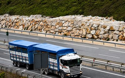 Muros de contención: cuándo son necesarios en una parcela